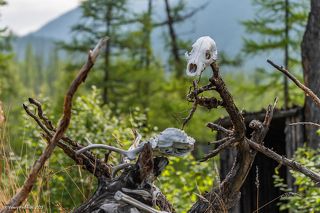 03 … поскольку усилиями Владимира Коваля окружающее пространство стало музеем под открытым небом, …