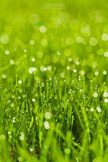 фотограф Кудин Андрей