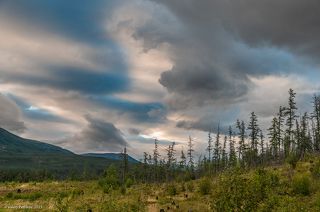 01 Кордон Владимира Коваля расположен в чрезвычайно медитативном месте, …