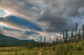 02 … вокруг тебя постоянно что-то происходит, пока живёшь там