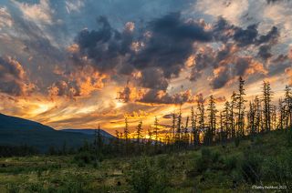 01 Ночь полярного дня богата на сюжеты