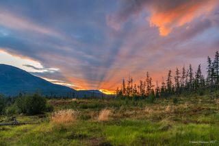 02 Краски и формы их творений завораживают, …