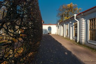 Монлезирский сад. Дворец \