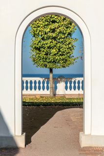 Арка дворца \