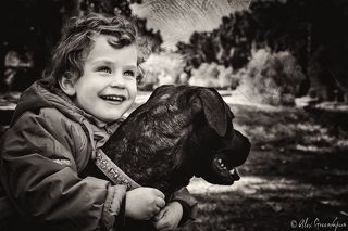 The Bright Lights (Светлые огоньки)