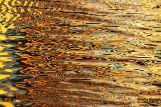 Отражение дома. Лесопарк \