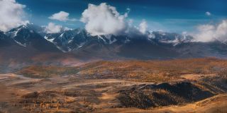 Иногда агрессивные, кричащие...