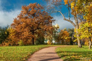 Золотая осень в Фермском парке. г.Пушкин