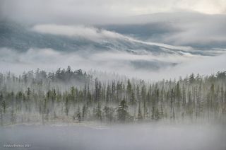 01 Один из самых фактурных дней, проведённых на кордоне Владимира Коваля
