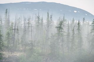 03 Туман находится в движении, картинка меняется ежесекундно, …