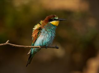 Получилось не плохо, как думаете?