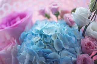 AF-S 105mm f/2.8G VR Micro NIKKOR