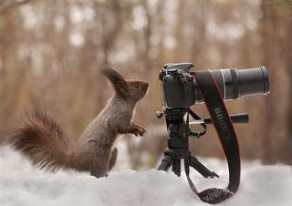 Где тут кнопка \