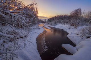 объектив самьянг 14 мм