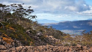 1. Осень в Тасмании обычно не очень отличается от других времен года, тем более, сами же тасманийцы говорят, что в Тасмании за один день может смениться 4 сезона
