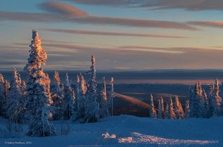 01 Мои поздравления со Старым Новым годом!