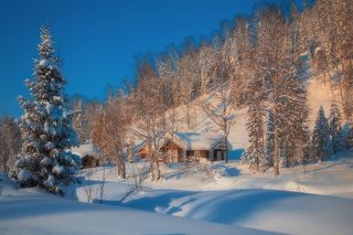 Утро в Рождество...