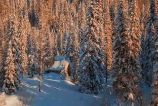 Уютная тишина...