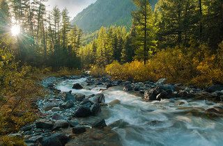 Горная речка. Шавла, Алтай.