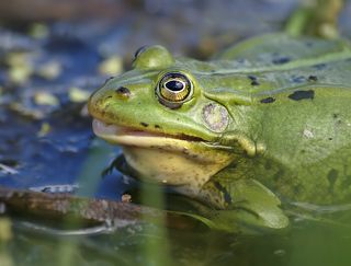 Удивление...