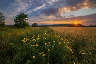 объектив самьянг 14 мм