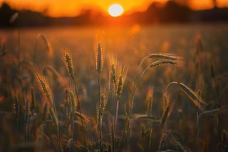 объектив пентакс 100 мм