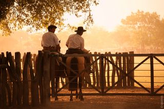 Аргентина, гаучо