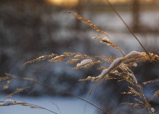 Московская обл.