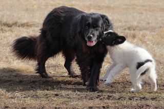 Мама мамочка моя!