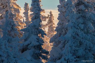 01 Давненько здесь я не обращался за помощью зала… Вот, вроде бы классика: резкость на ПП. Нормально?
