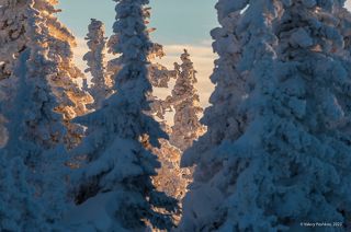 02 ЗП сквозь виньетку размытого ПП. Я так люблю…