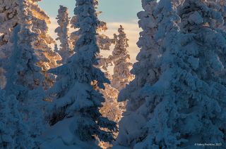 03 А вот собрал 1 и 2 вместе, как собирался сделать ещё в момент съёмки. Много снежных фактур… Тоже интересно, вроде? ;)
