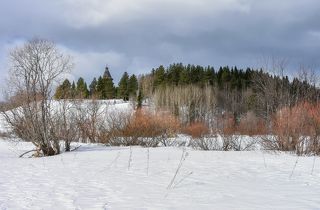 Весенний месяц апрель-2