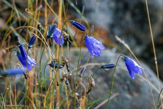 03 С недавним праздником, дорогие!
