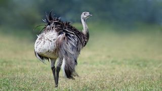 и секундой позже-суразица