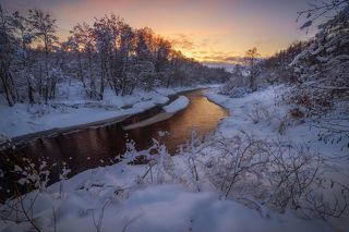 объектив самьянг 14 мм