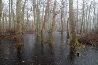 Гроза и град начались внезапно