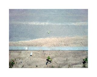 одуванчик-ваня-дорога на Теночтитлан