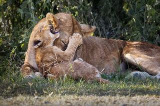 Маме по секрету