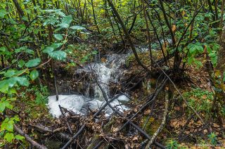 02 … и по всем склонам побежали почти весенние ручейки,…