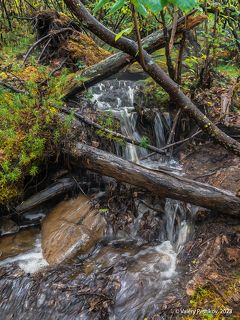 03 … образуя небольшие, но весёлые, водопадики…