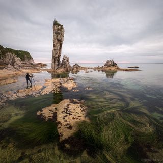 Лазовский заповедник, Приморский край