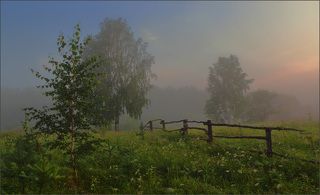 У изгороди - место свиданий
