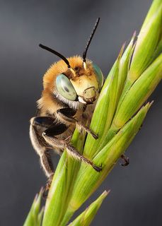 разбудили...