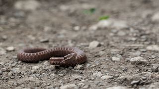 прогулка к Оштену