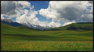 Альпийские луга, только Заилийские...