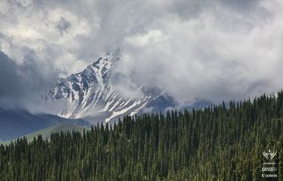 климат здесь суровый, практический каждый день идет дождь
