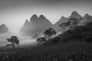 Рис и образы Вьетнама