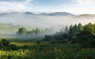 Первые туманы лета