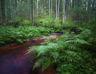 F/14 ISO 500 100sek ND500 FL16mm